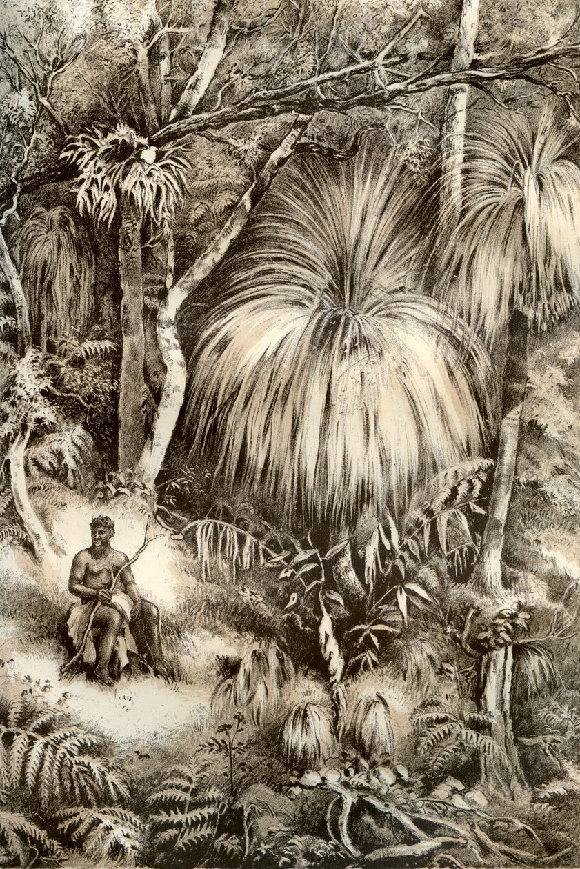 Escena del bosque de Tasmania, 1879 de McFarlane and Erskine