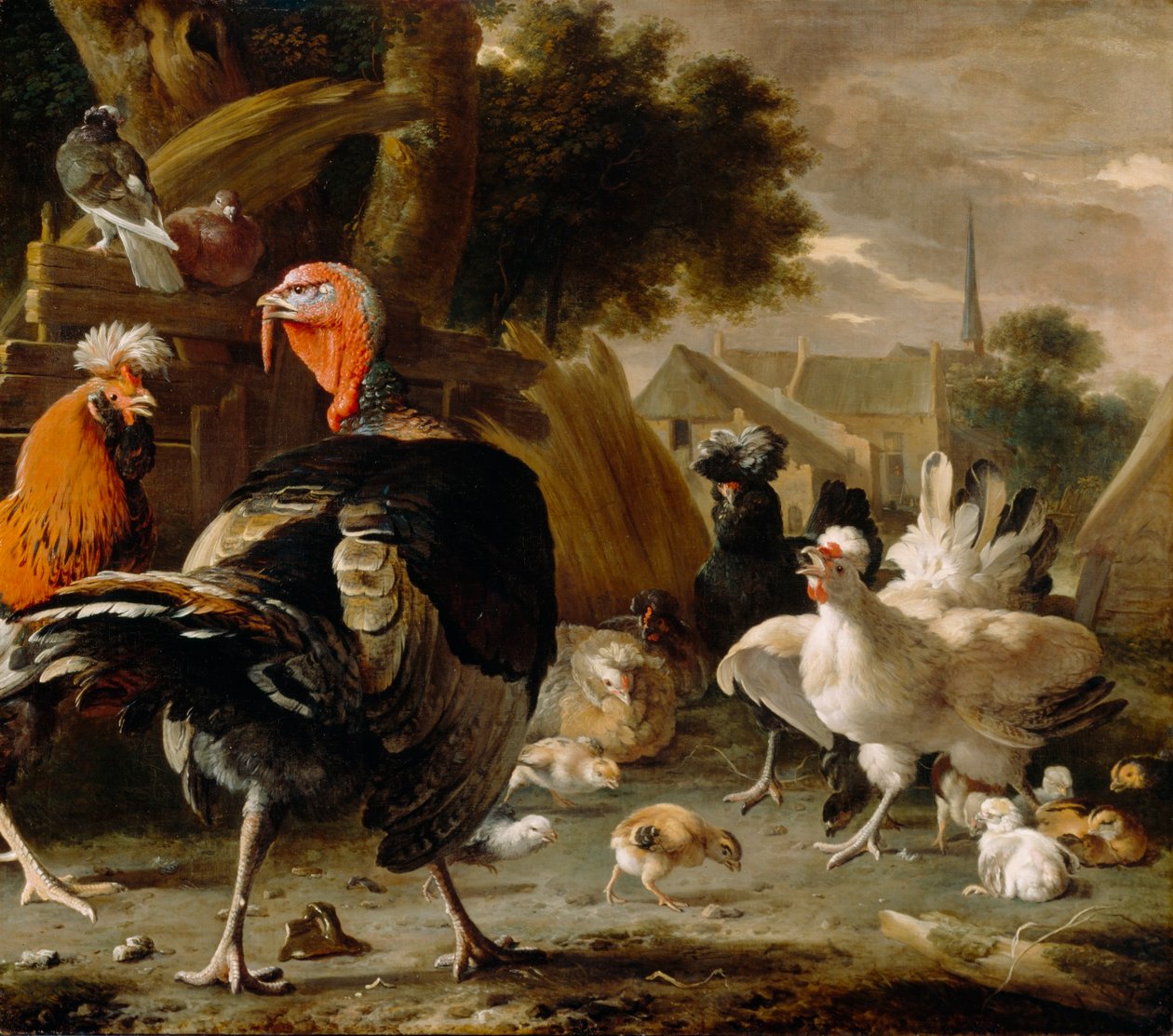 Corral de aves de corral de Melchior d