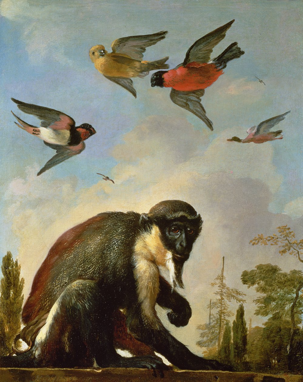 Mono encadenado en un paisaje de Melchior de Hondecoeter