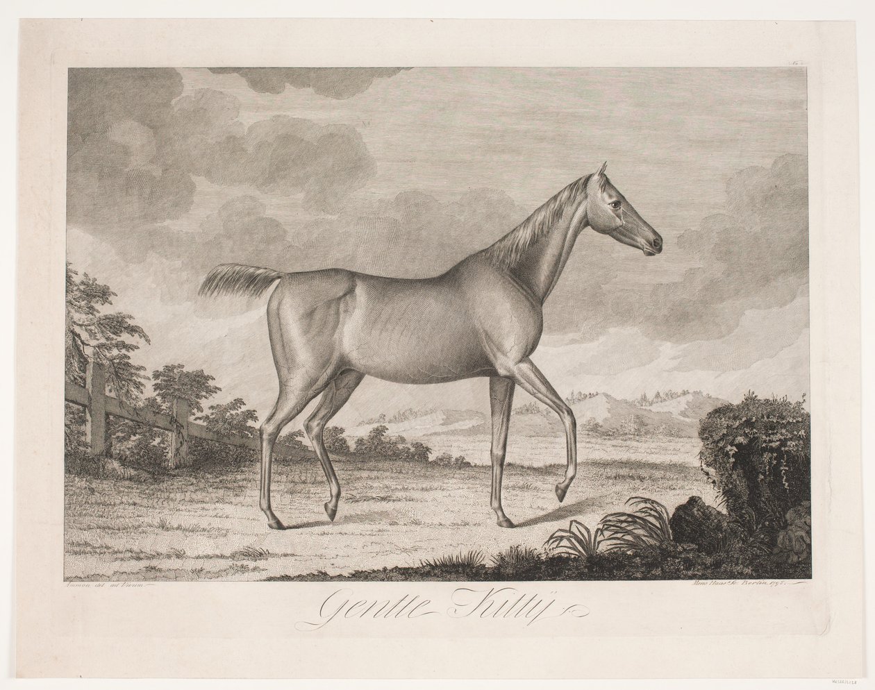 El caballo "Gentle Kitty" de Meno Haas