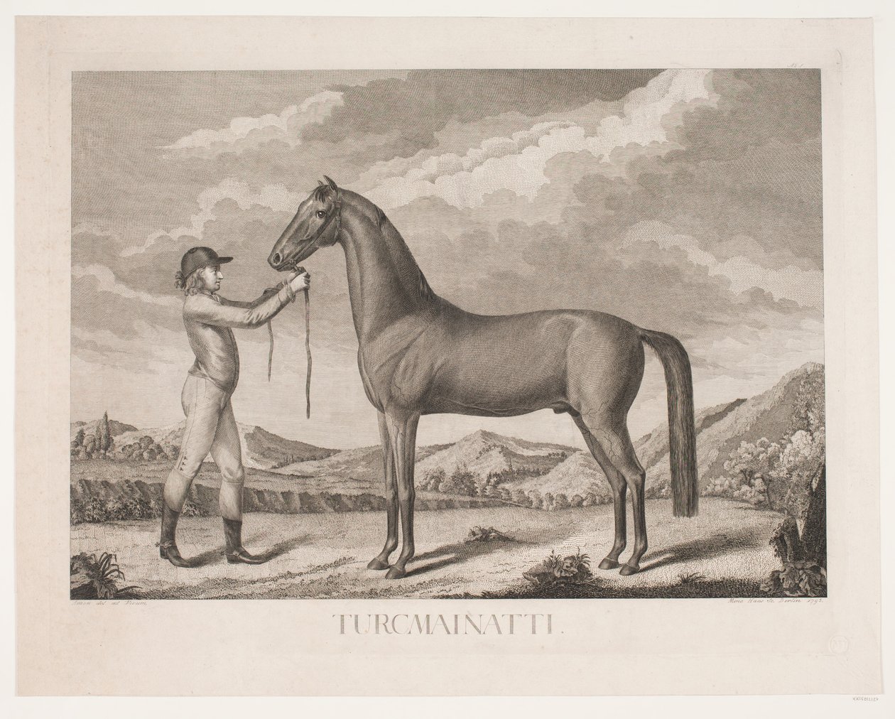 El caballo "Turcmainatti" de Meno Haas