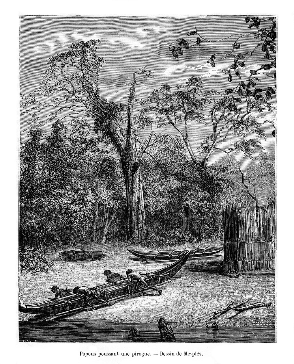 Canoa de pesca, Papúa, siglo XIX de Mesples