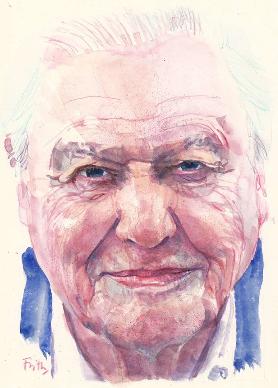 Sir David Attenborough (acuarela) de Michael Frith