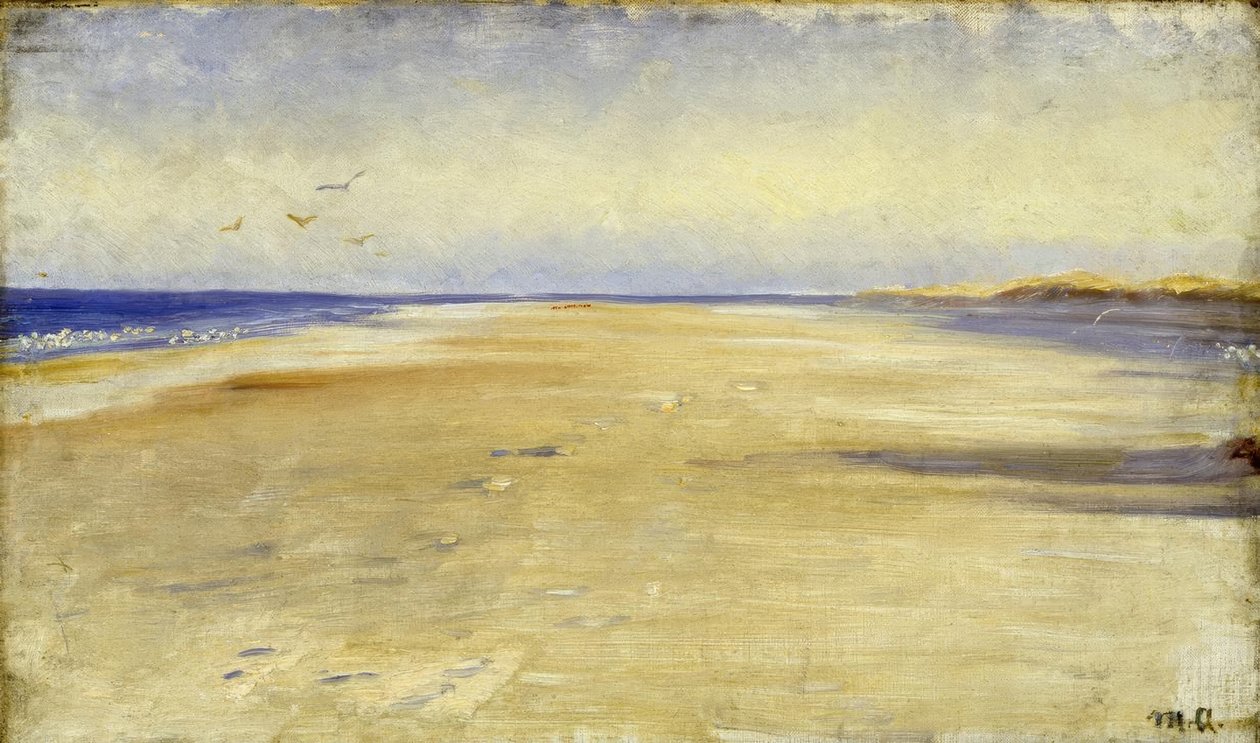 M.P.Ancher, En la playa de Skagen de Michael Peter Ancher