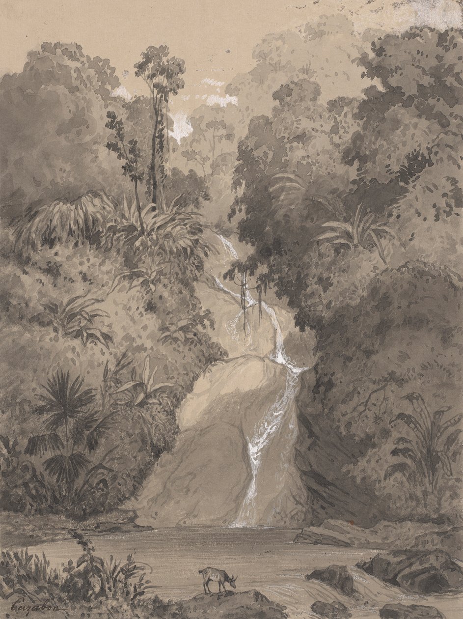 Cascada en St. Anns de Michel Jean Cazabon
