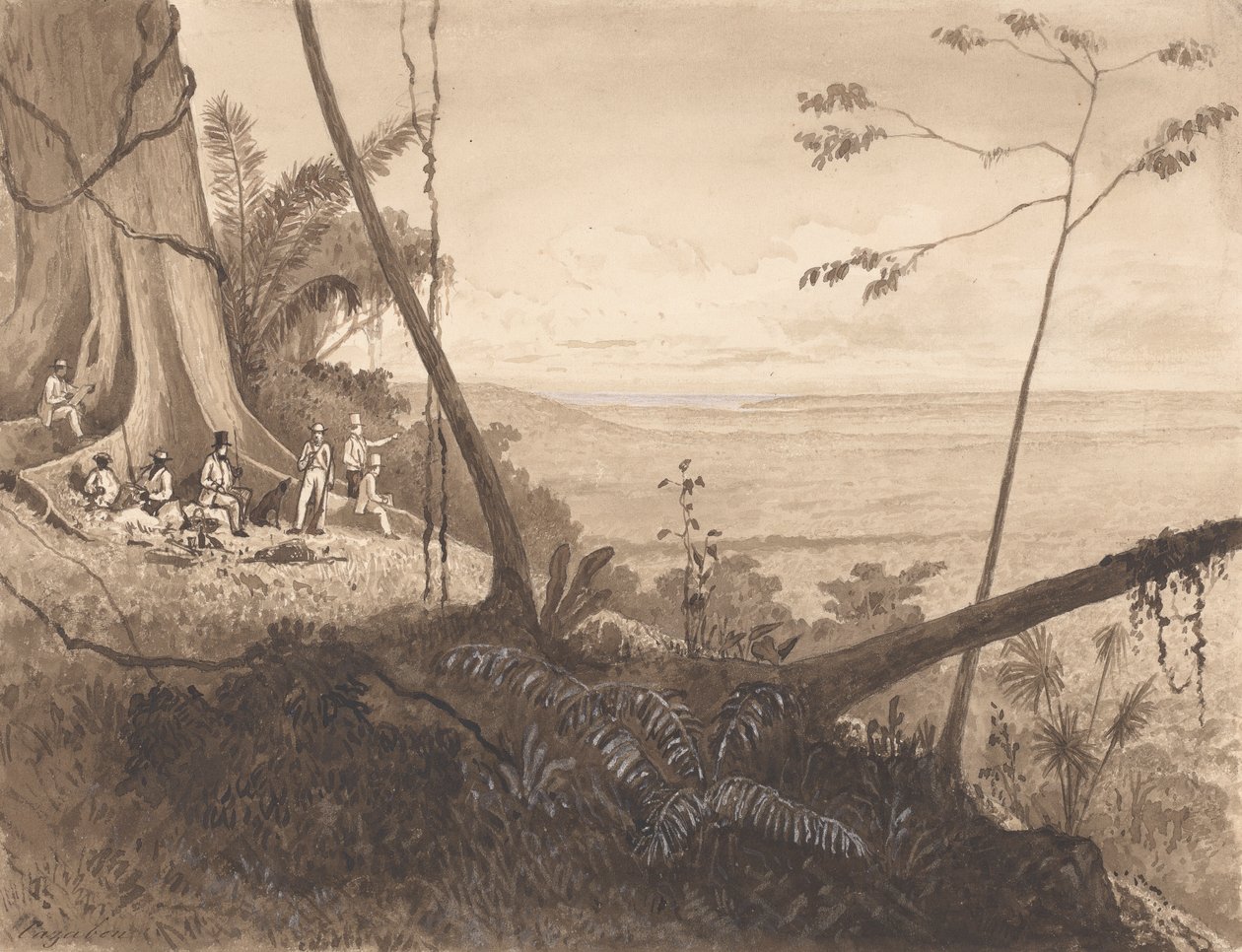Cedar Point, Monte Tamana de Michel Jean Cazabon