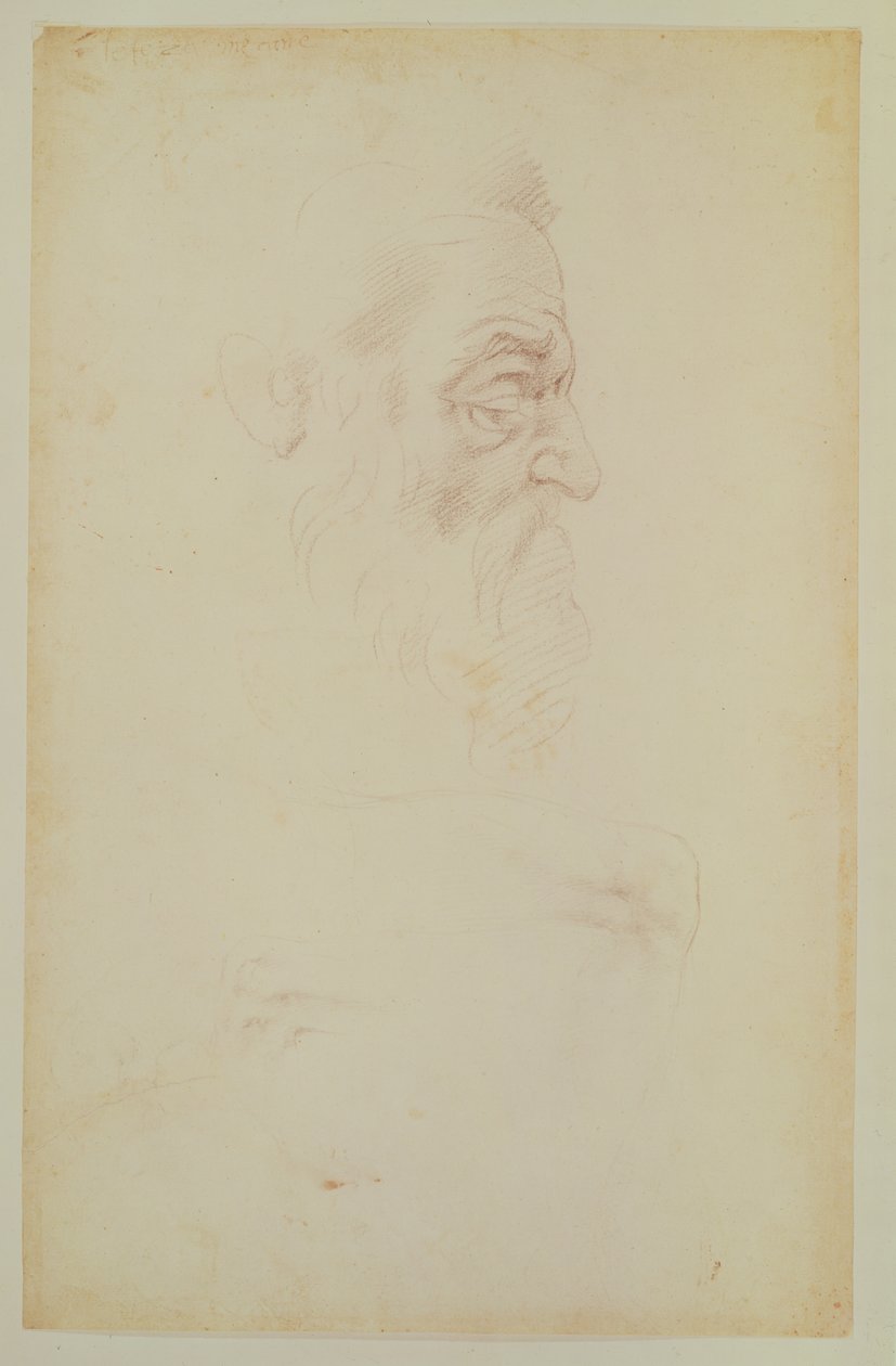 Boceto de una cabeza masculina y dos piernas de Michelangelo Buonarroti