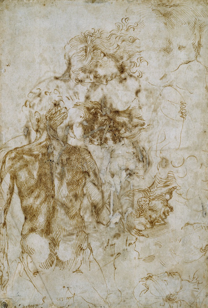 Estudios de desnudo masculino de Michelangelo Buonarroti