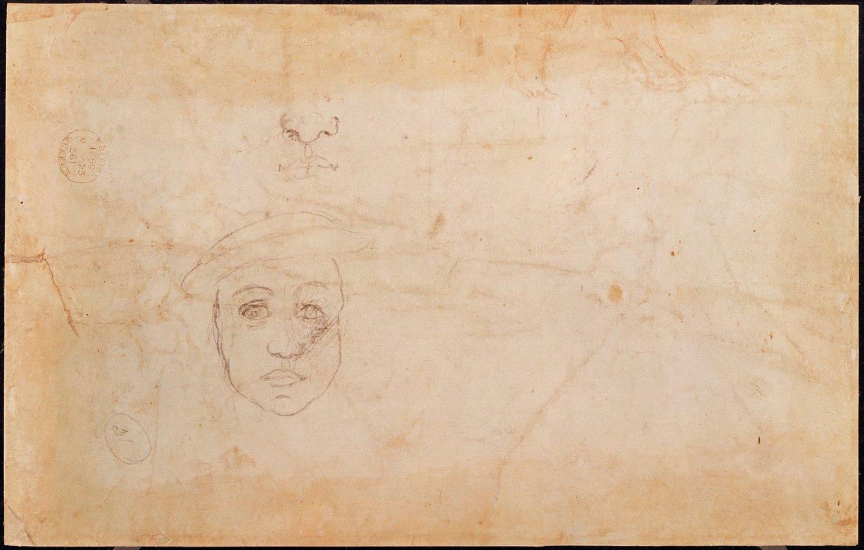 Estudio de una cabeza masculina (verso) de Michelangelo Buonarroti