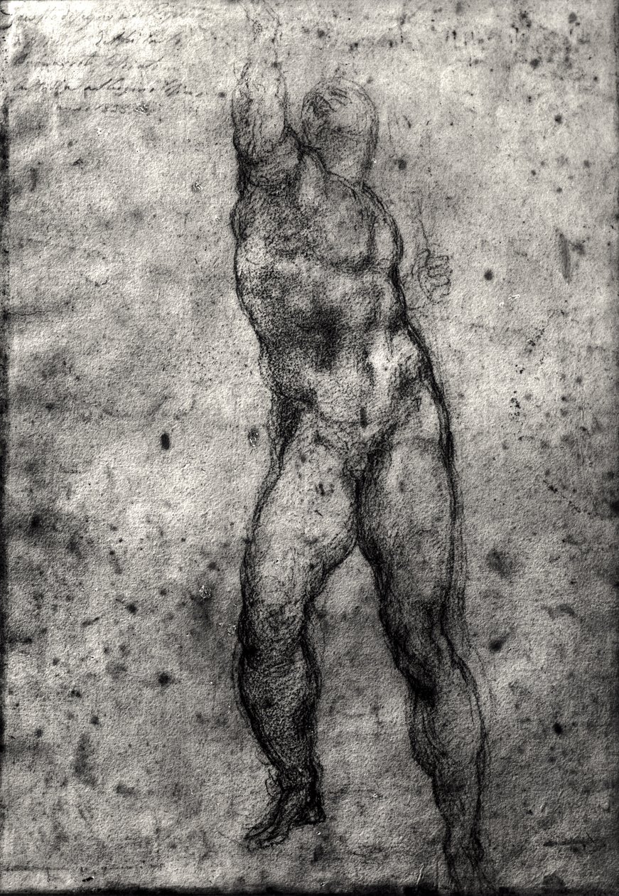 Estudio de un desnudo masculino de Michelangelo Buonarroti