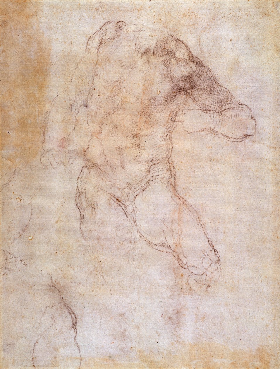 Estudio de un desnudo masculino de Michelangelo Buonarroti
