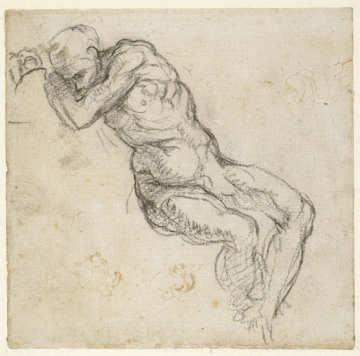 Estudio de un desnudo masculino, c.1511 (pluma y tiza negra sobre papel) de Michelangelo Buonarroti