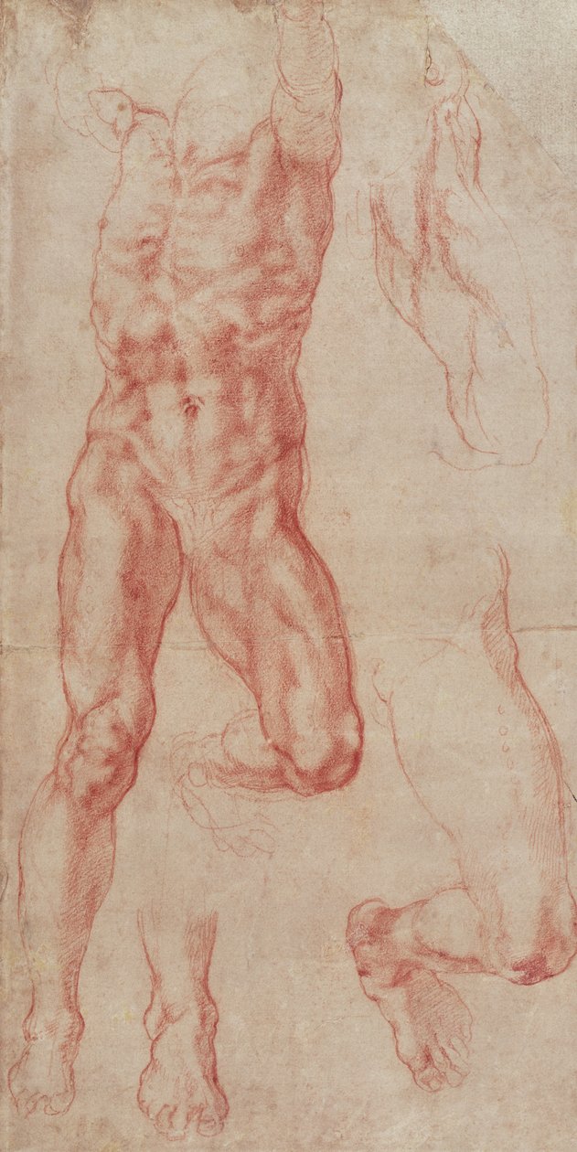 Estudio de un desnudo masculino, estirándose hacia arriba de Michelangelo Buonarroti