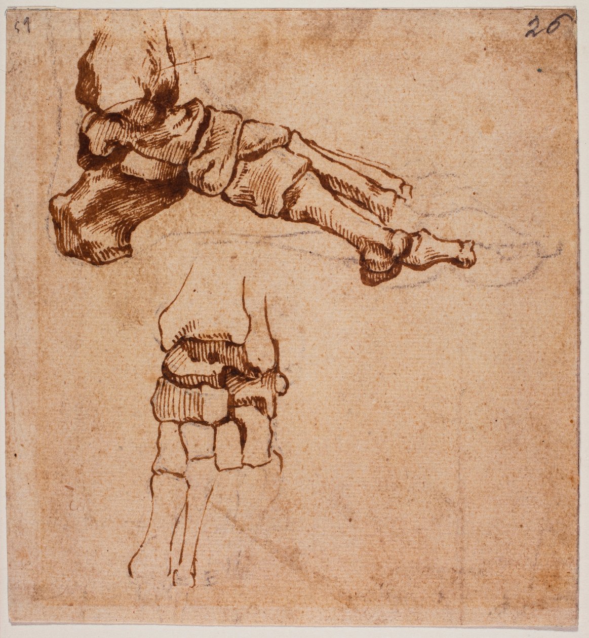 Estudio anatómico del pie de Michelangelo (after) Buonarroti