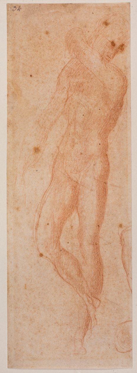 Estudios sobre el desnudo masculino de Michelangelo (after) Buonarroti