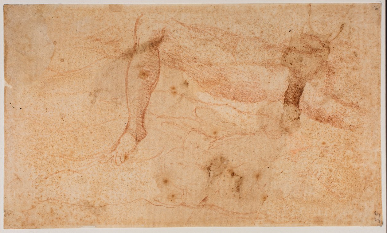 Estudios de desnudos de Michelangelo (after) Buonarroti