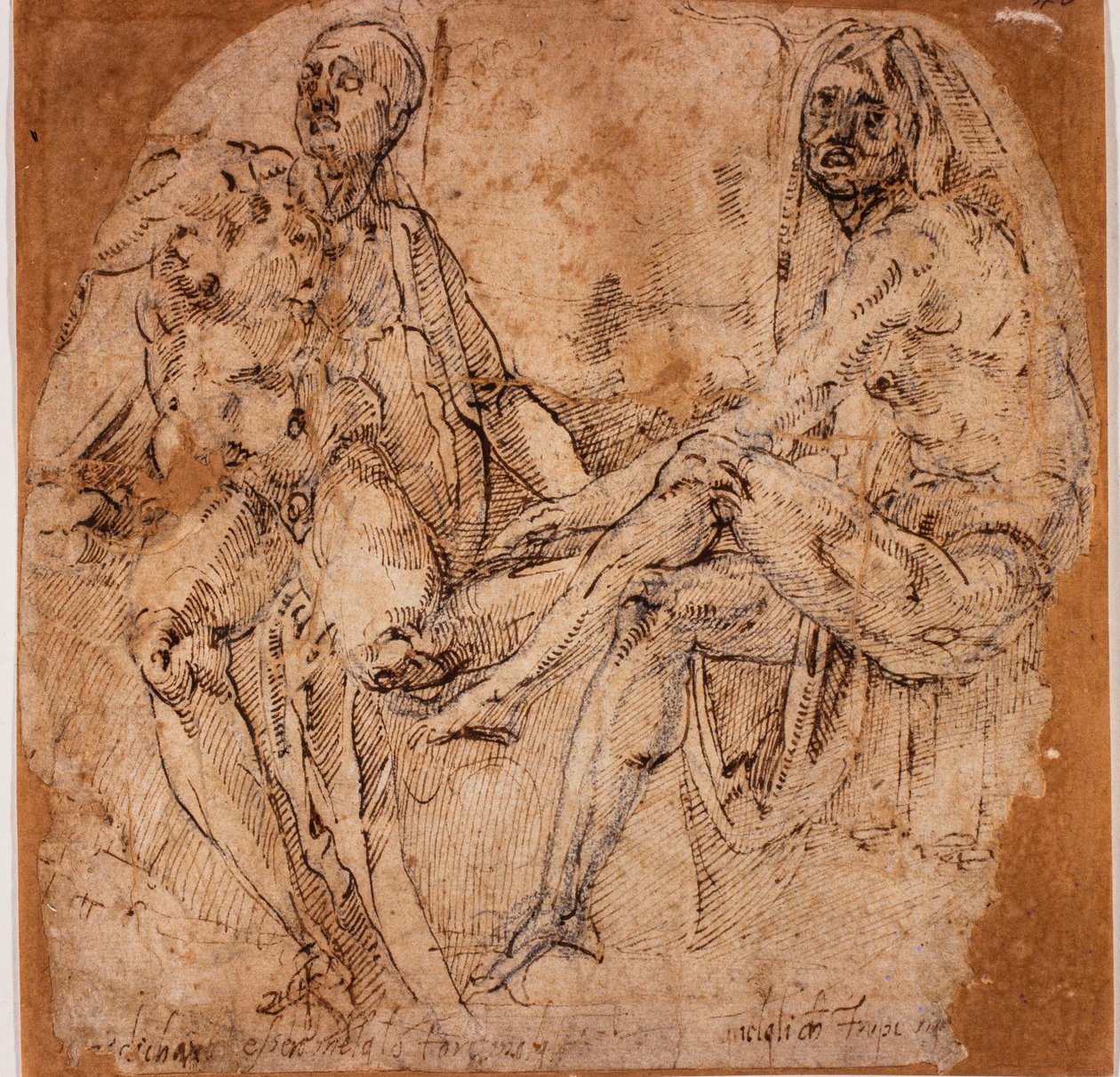 Estudios de desnudos de Michelangelo (after) Buonarroti
