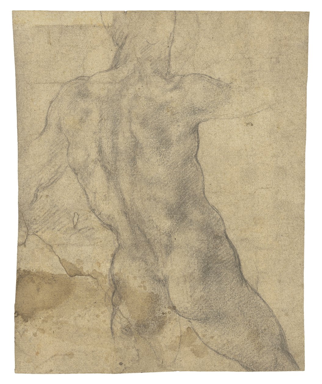 Un desnudo masculino visto desde atrás de Michelangelo Buonarroti