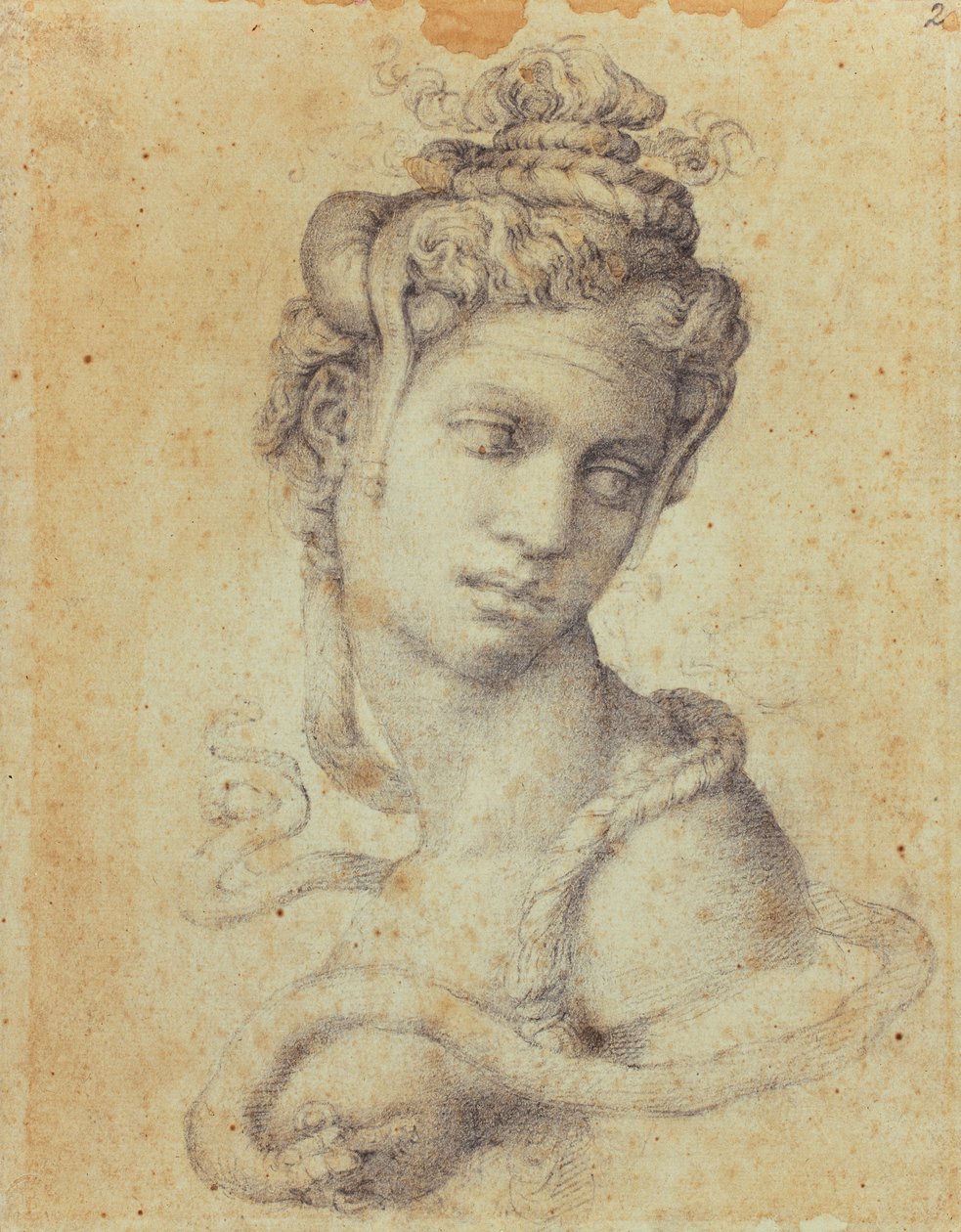 Cleopatra de Michelangelo Buonarroti