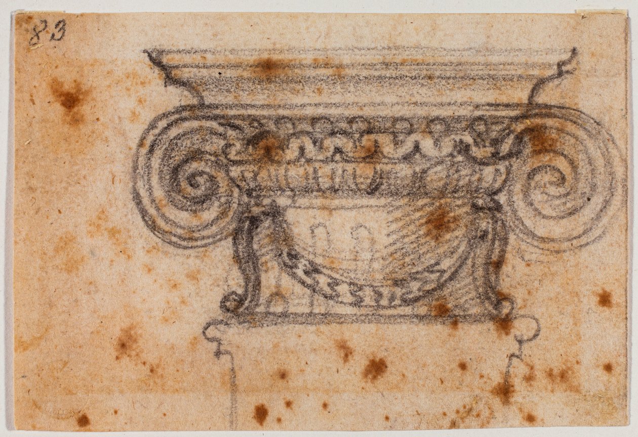 Estudio del capital iónico de Michelangelo Buonarroti