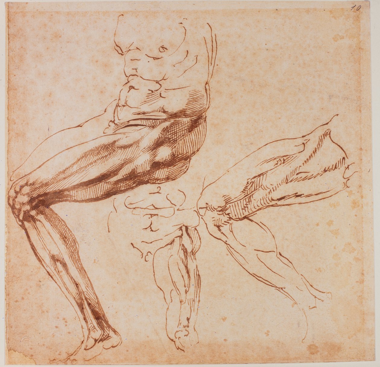 Estudios sobre las piernas de Michelangelo Buonarroti