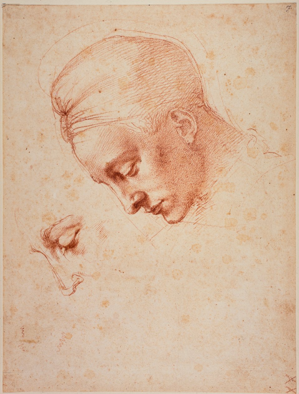 Estudios para la cabeza de "Leda de Michelangelo Buonarroti