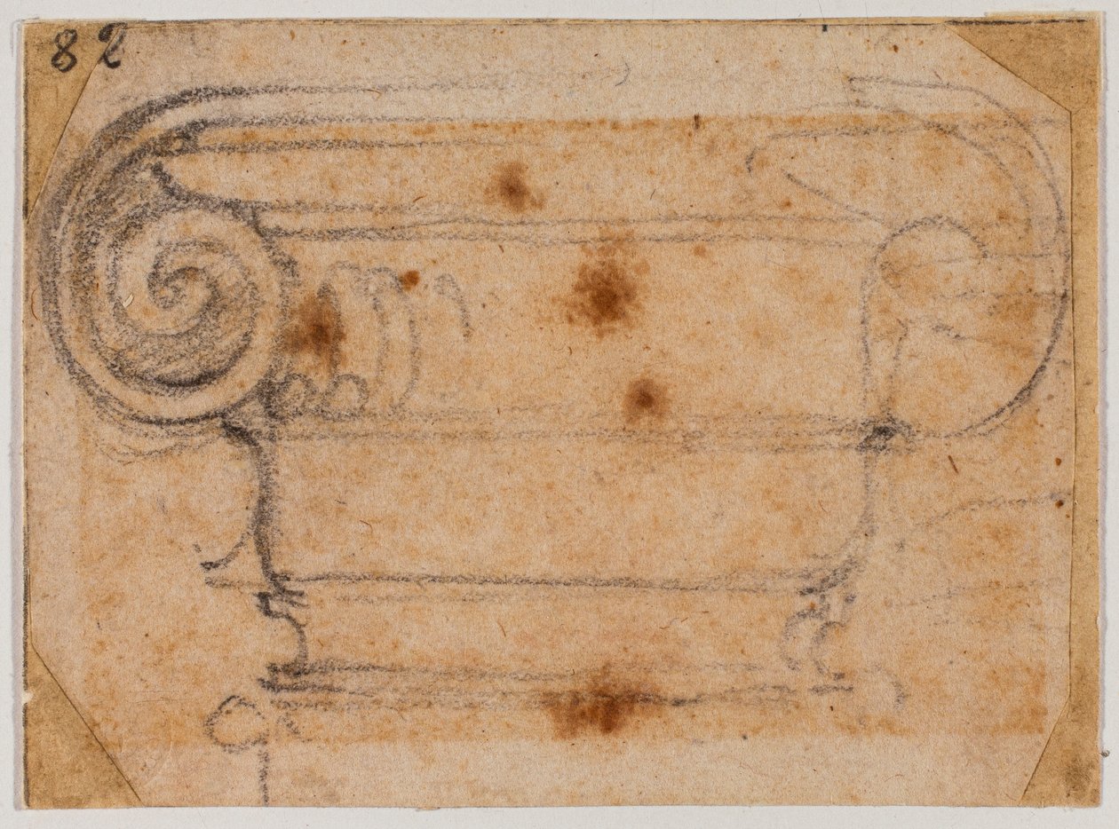 Estudio del capital iónico de Michelangelo Buonarroti