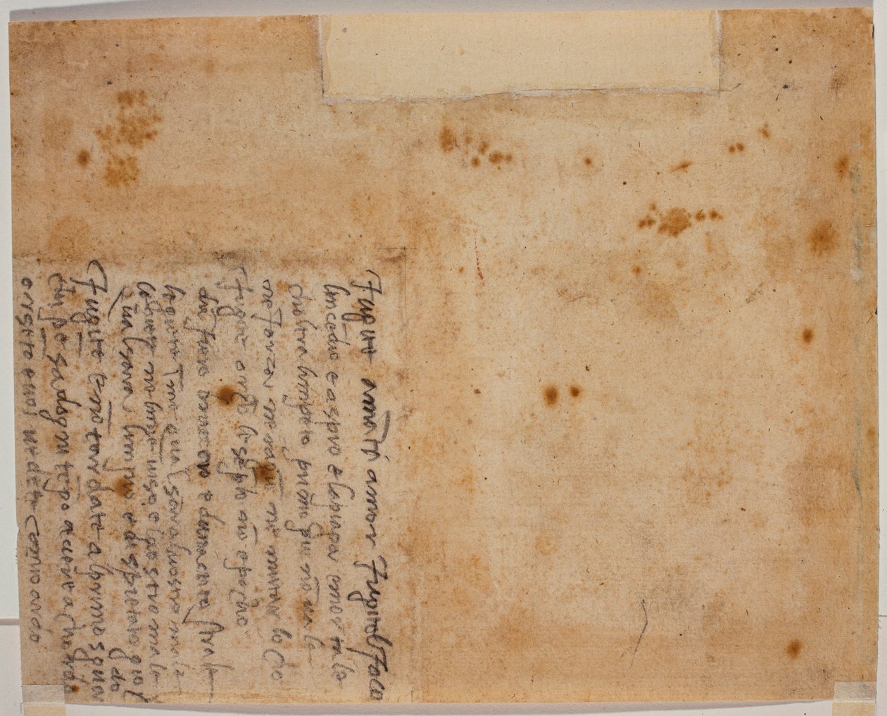 Versos autógrafos de Michelangelo Buonarroti