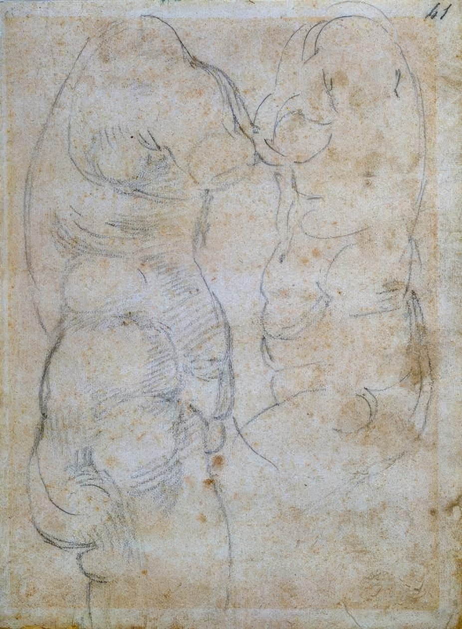 Dos estudios de un torso femenino antiguo de Michelangelo Buonarroti