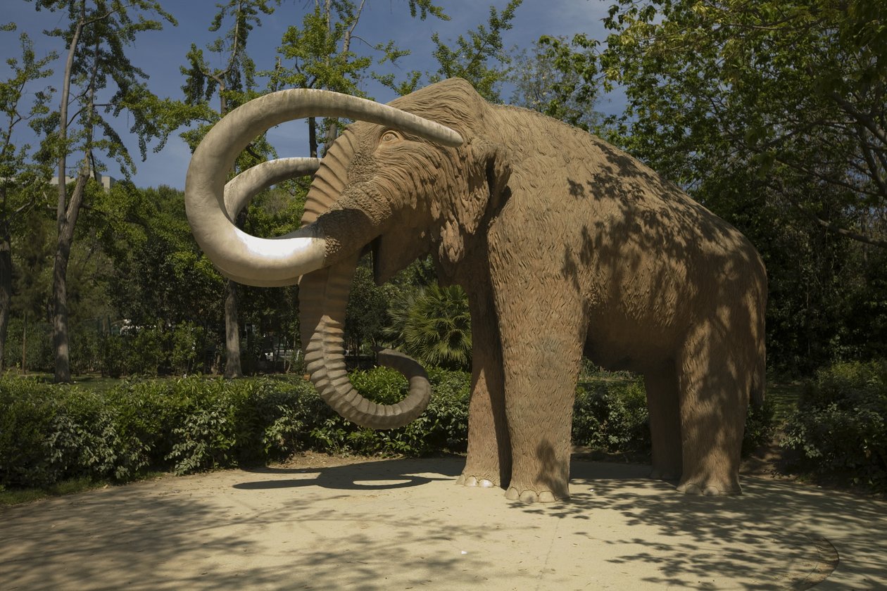 Mamut, 1907 de Miguel Dalmau