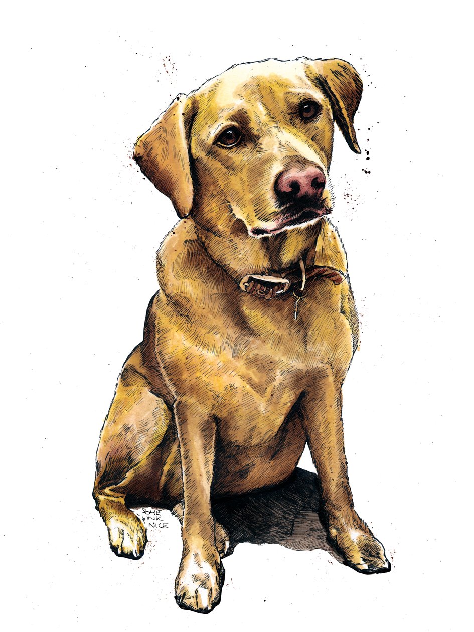 Daisy El Labrador en Blanco, 2020 de Mike Davis
