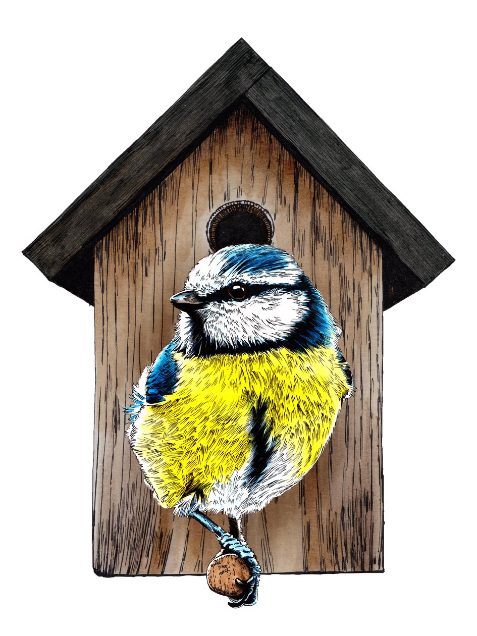 Nueva Casa Azul Tit sobre Blanco, 2020 de Mike Davis