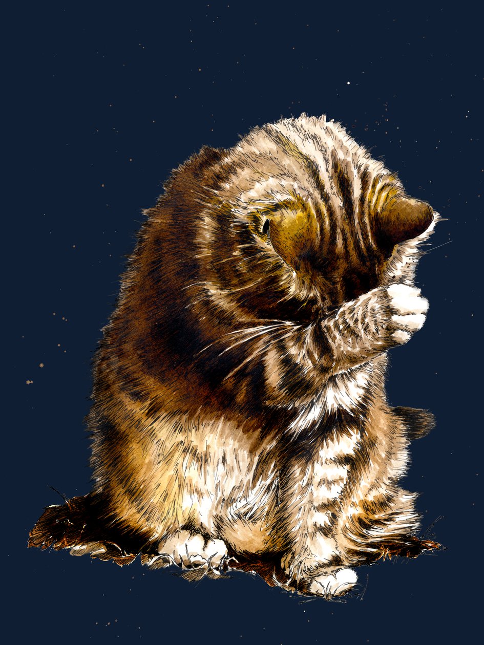 Smallfry The Cat en Midnight Blue, 2020 de Mike Davis