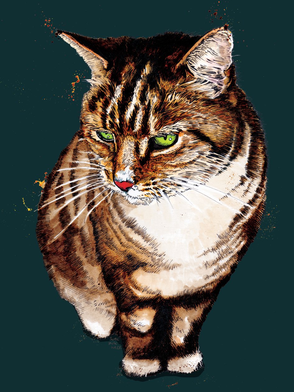 El gato atigrado en Deep Cyan, 2020 de Mike Davis