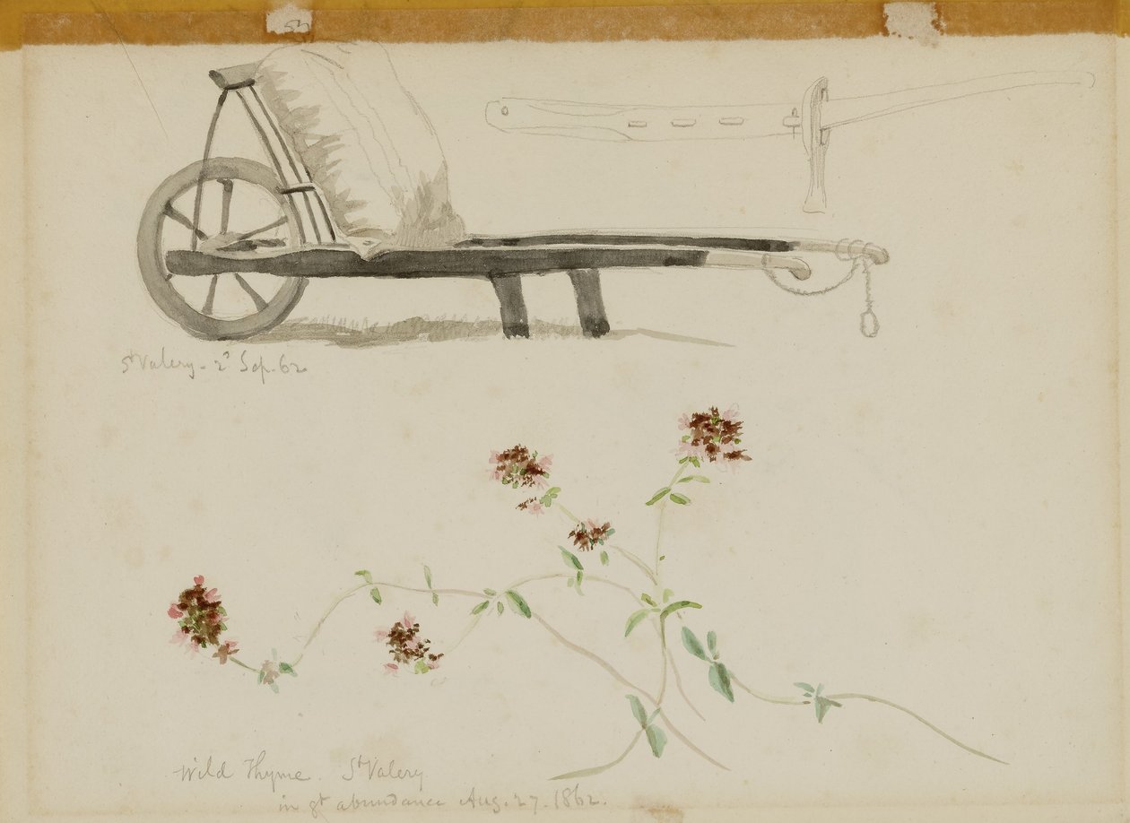 St. Valery-Blow-Timo silvestre de Miner Kilbourne Kellogg