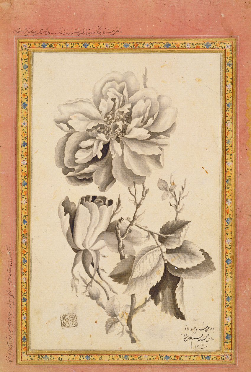 Rosa, 1799-1800 de Mirza Baba