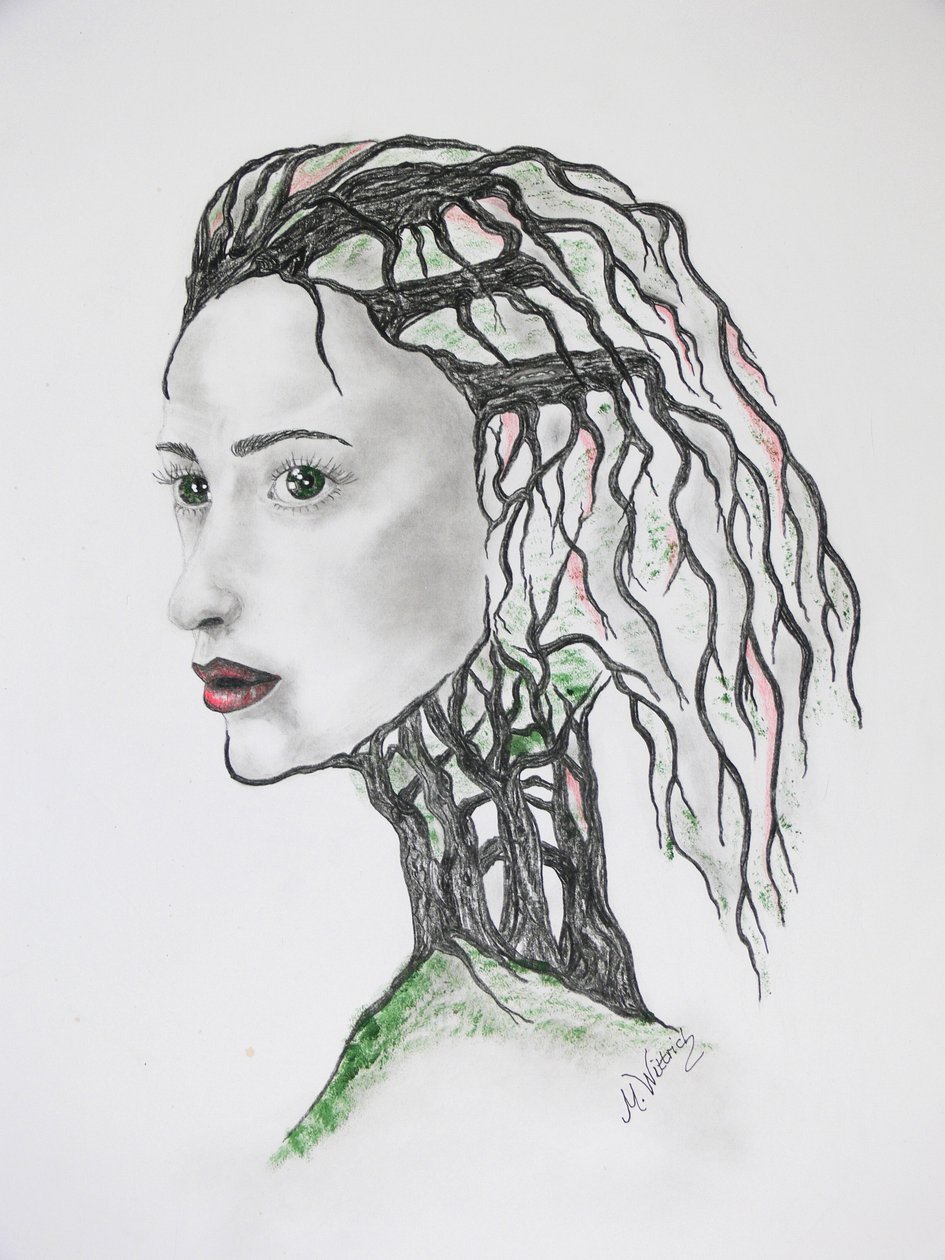Muerte de un árbol de Monika Wittrich
