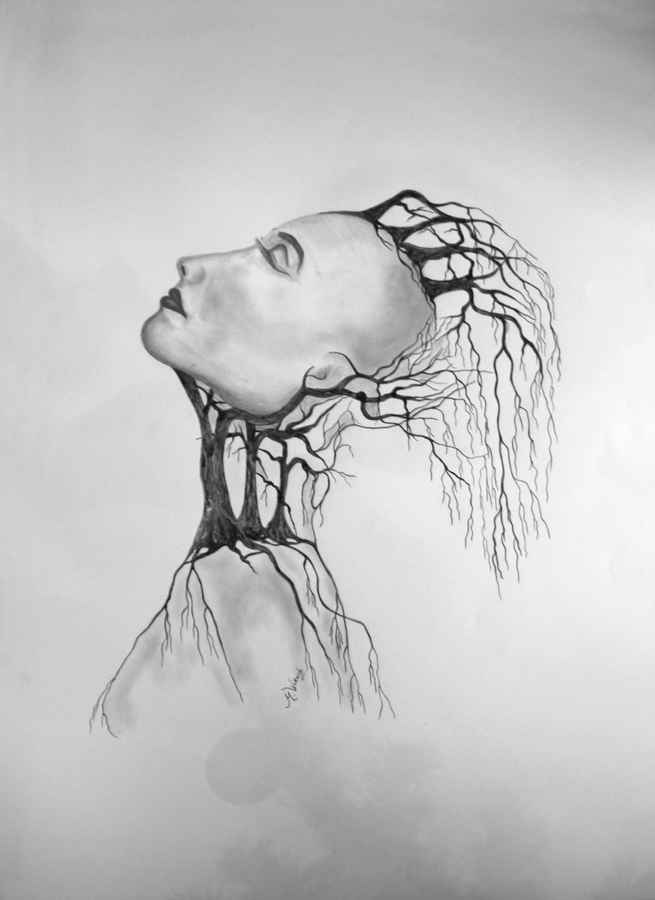 Muerte de un árbol 2 de Monika Wittrich
