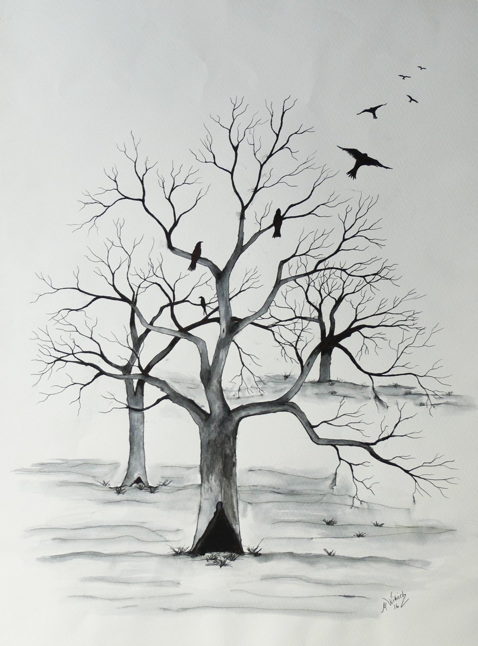 Silencio de Monika Wittrich