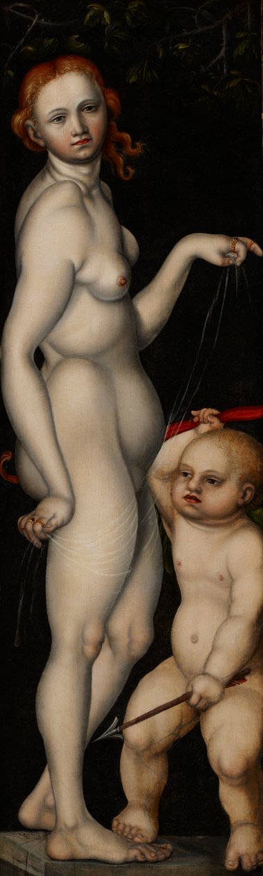 Venus y Cupido, c.1529 de Monogrammist H. B.