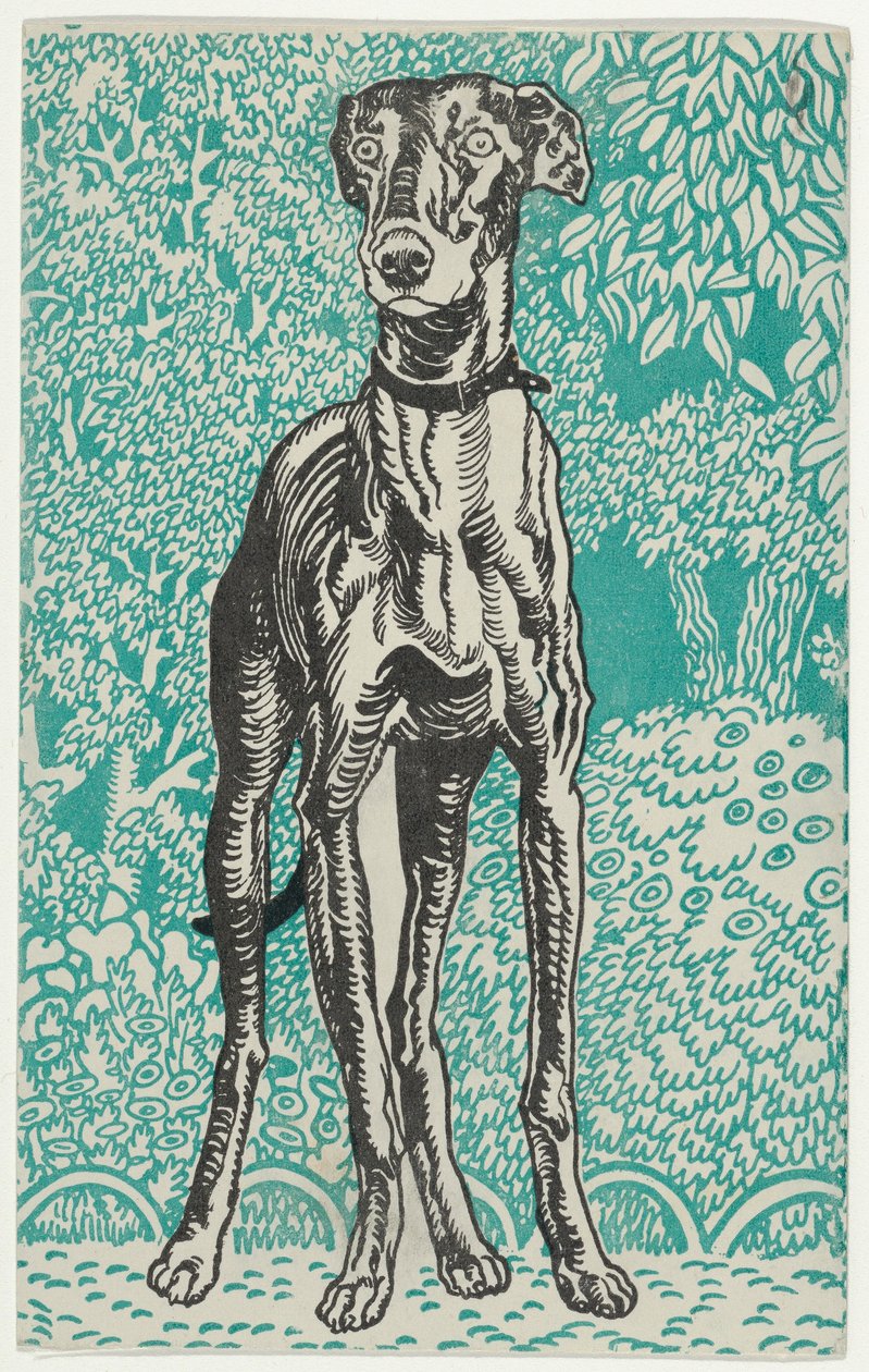 Galgo, 1912 de Moritz Jung