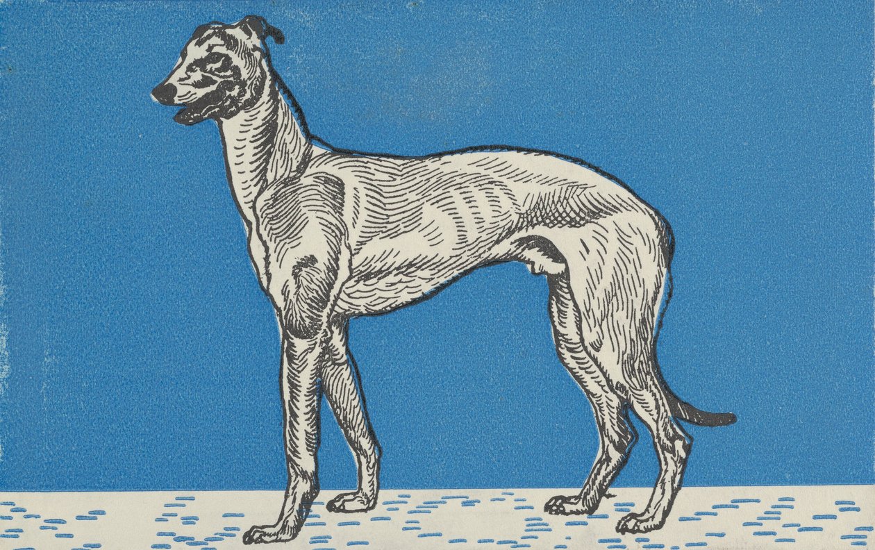 Galgo, 1912 de Moritz Jung