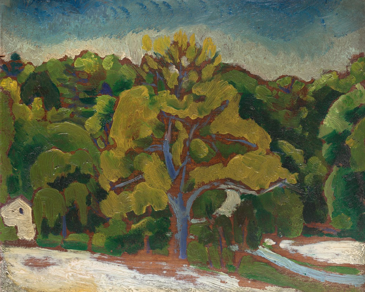 Paisaje, c. 1912 de Morton Livingston Schamberg