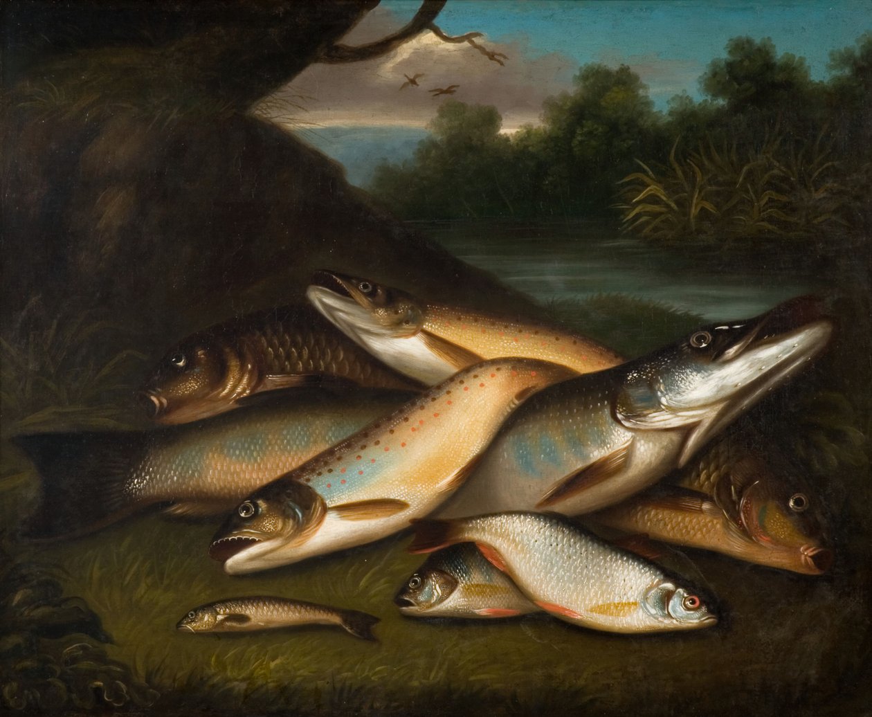 Pez, 1790 de Moses Haughton