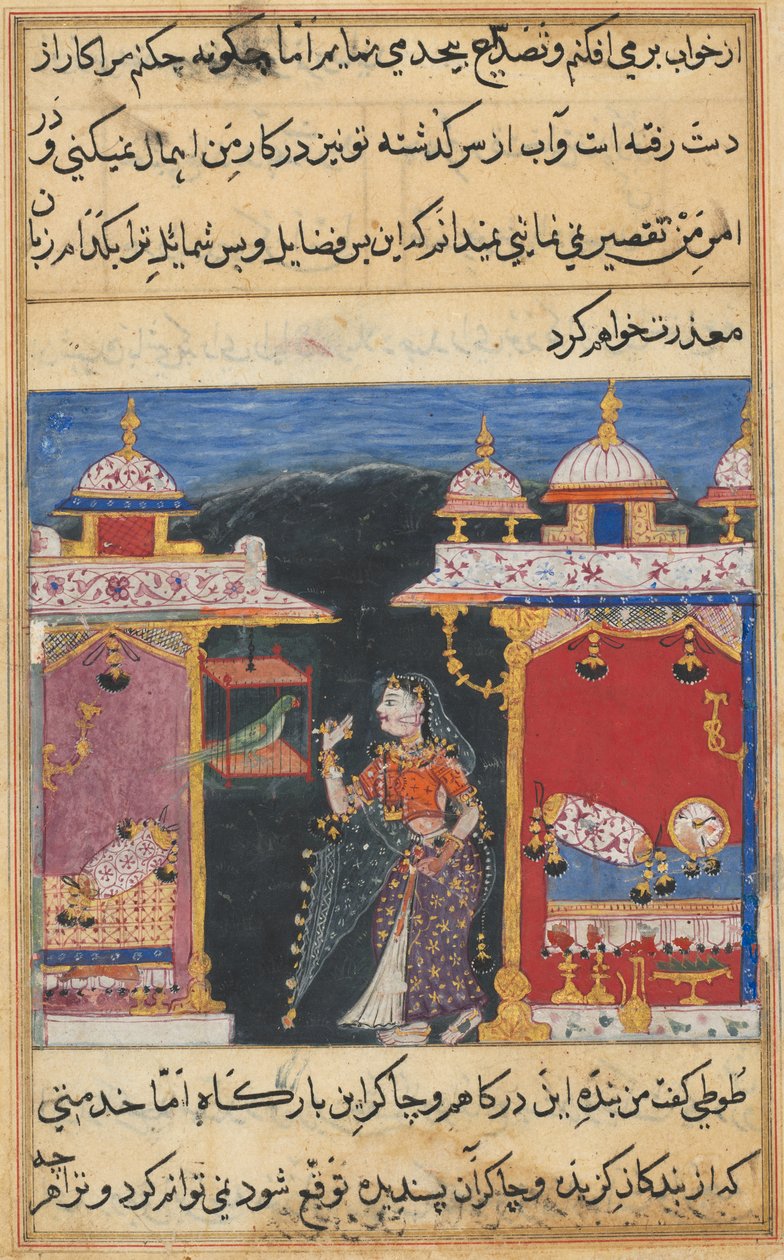 Página de Cuentos de un Loro de Mughal School