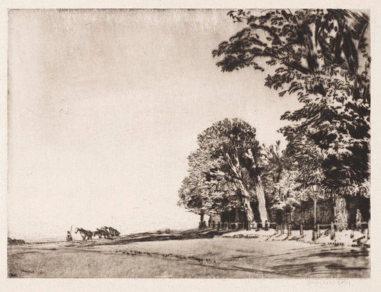 Hampstead Heath de Muirhead Bone