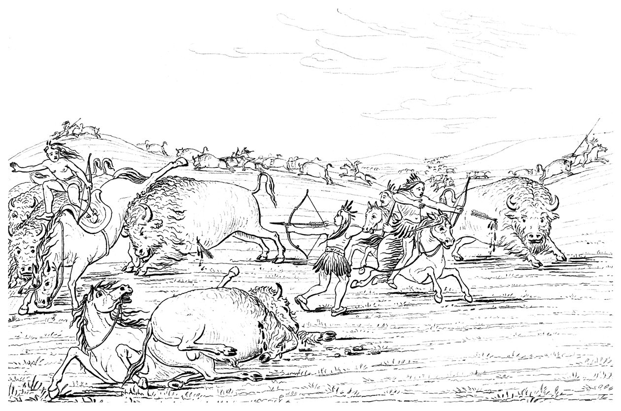 Nativos americanos cazando búfalos, 1841 de Myers and Co