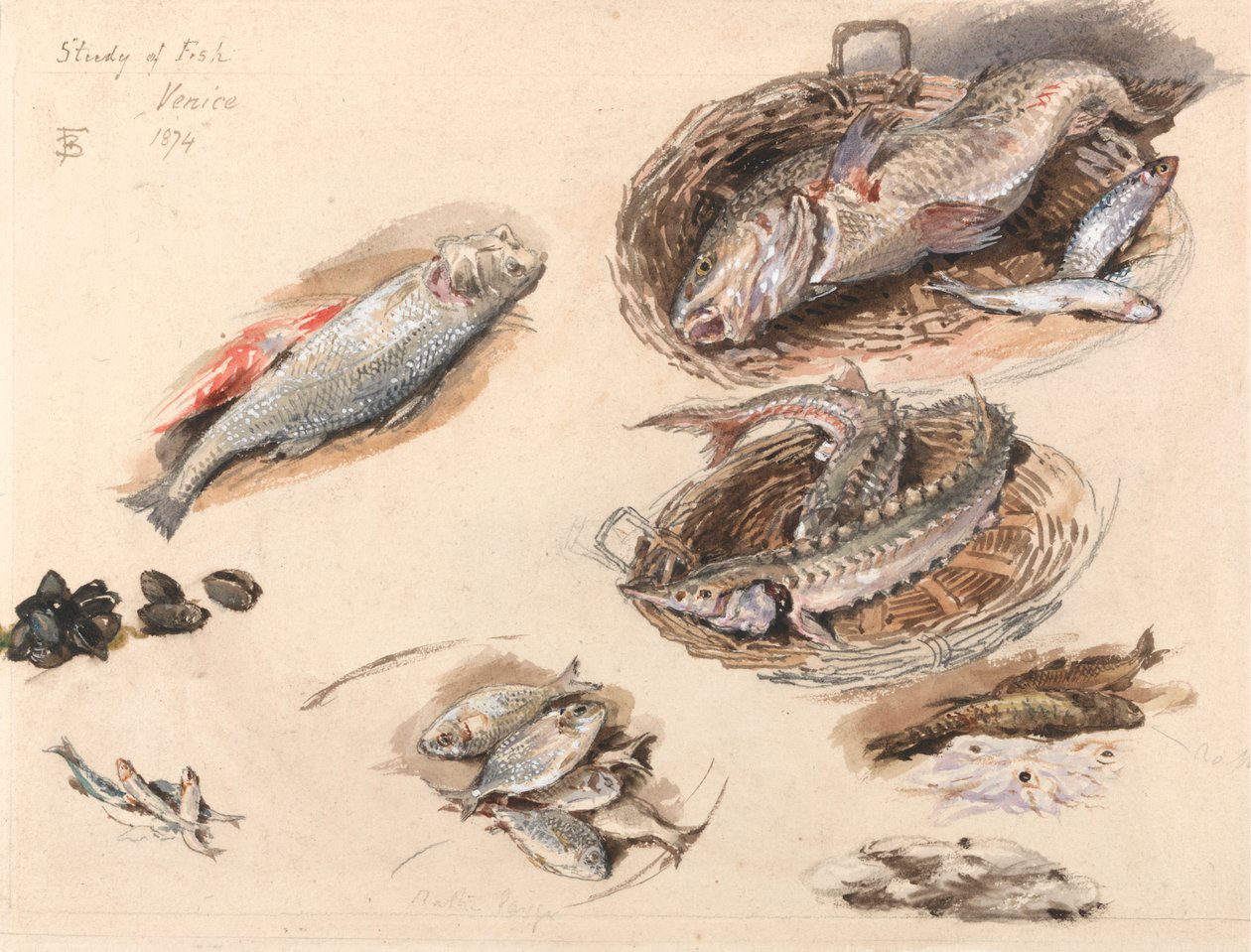 Estudio de peces, Venecia de Myles Birket Foster