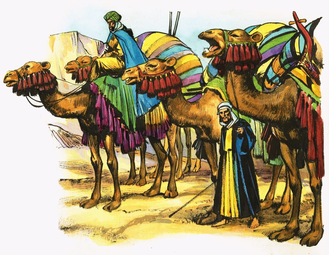 Tren de camellos del norte de África de Nadir Quinto