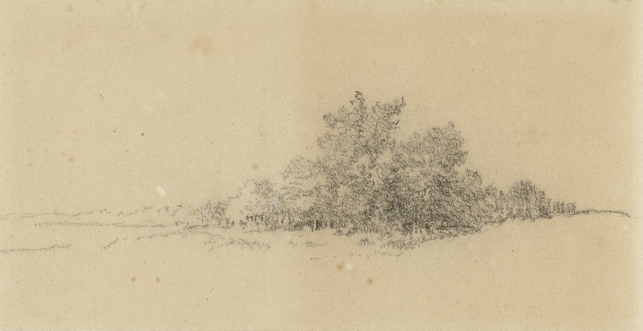 borde del bosque de Narcisse Virgile Diaz de la Peña